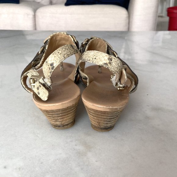 Coach wedge slingback Danielle sandal, neutral snakeskin / python print, t strap - Picture 8 of 8